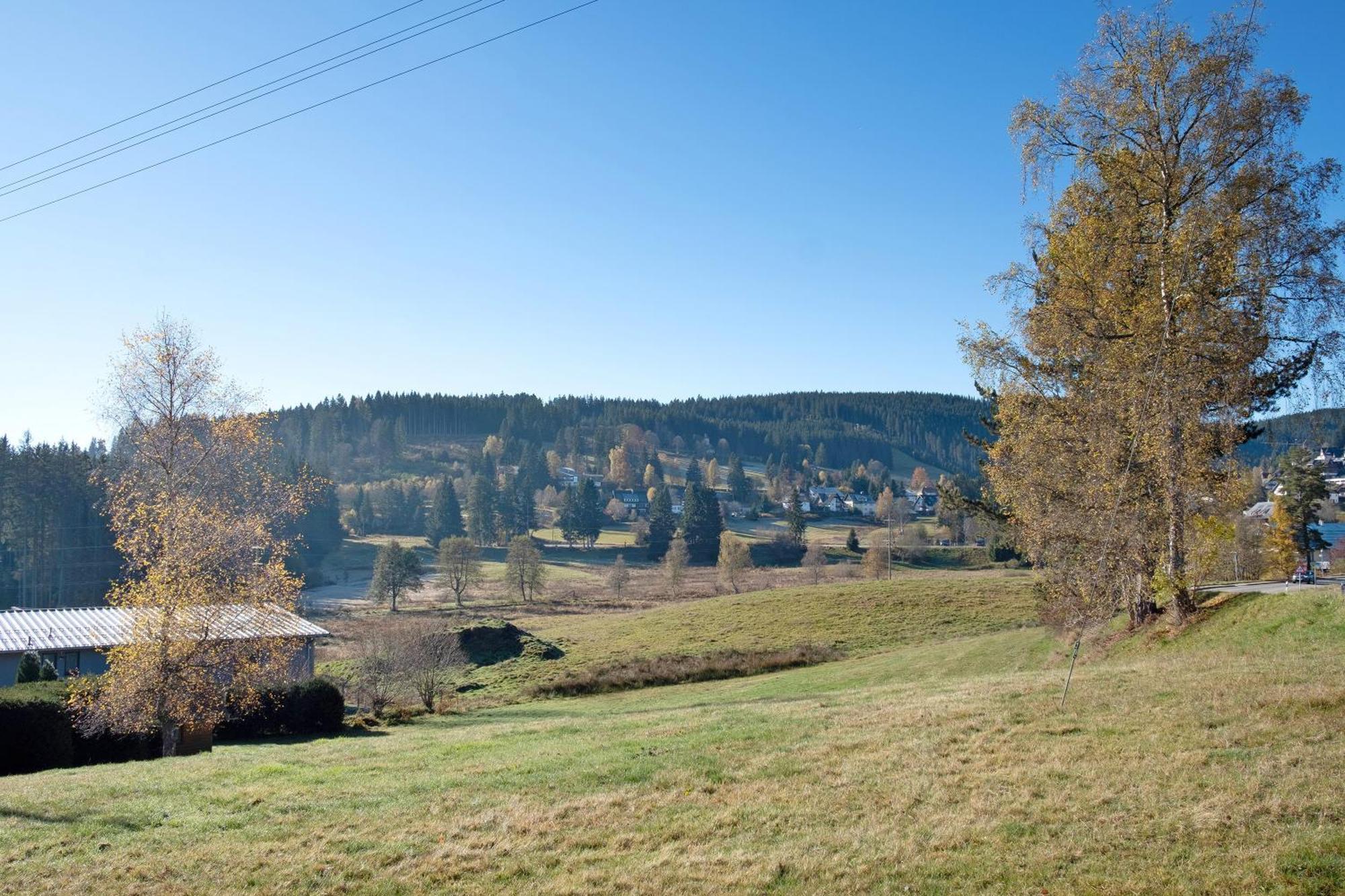 Fw Moonlight Mit Sauna, Schwimmbad Schoenwald im Schwarzwald Exterior photo